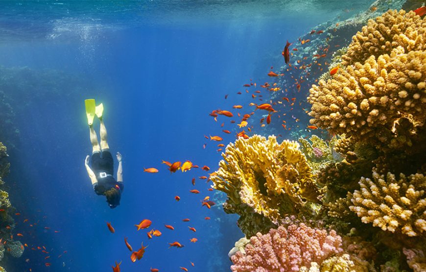 Tour a Dahab & Snorkeling al Blue Hole