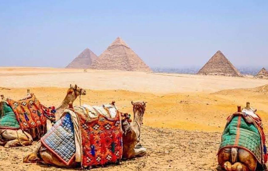 Camel Ride to Pyramids