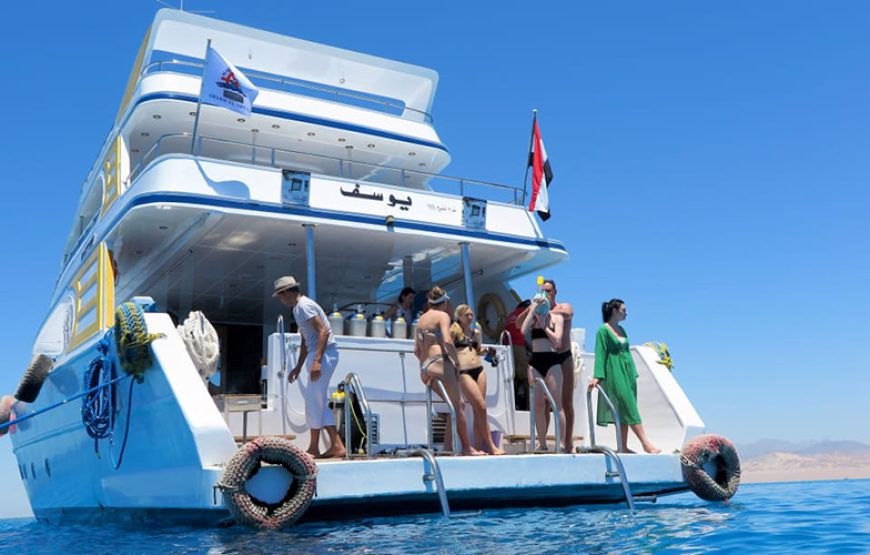 Cairo, Nile Cruise and Sharm El Sheikh in 2023 – travel to Egypt