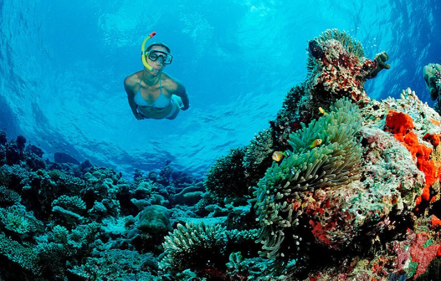 Tour a Dahab & Snorkeling al Blue Hole
