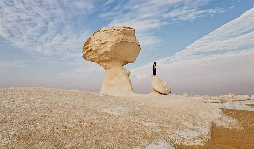 2 Day 1 Night White Desert & Bahariya Oasis