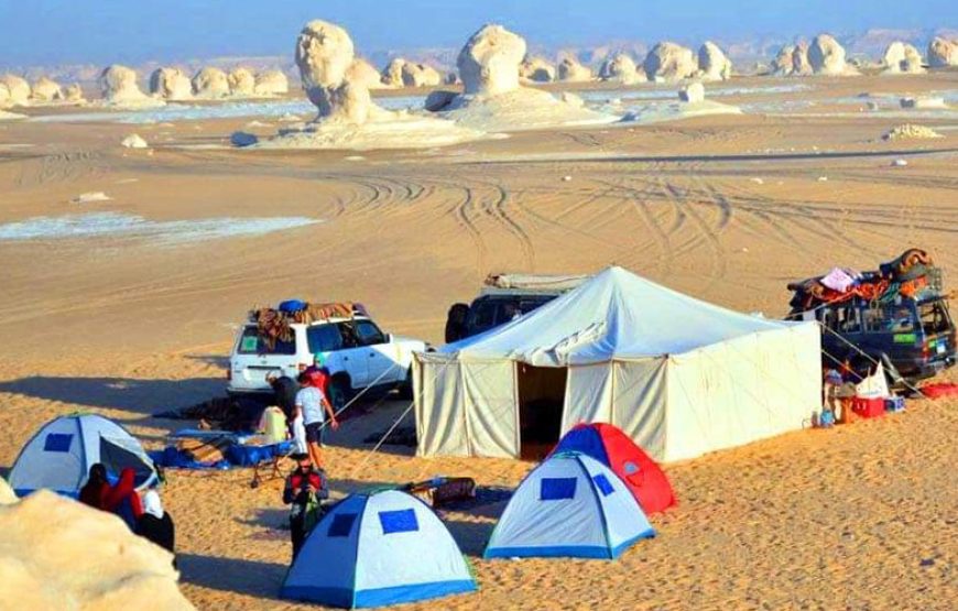 2 Day 1 Night White Desert & Bahariya Oasis